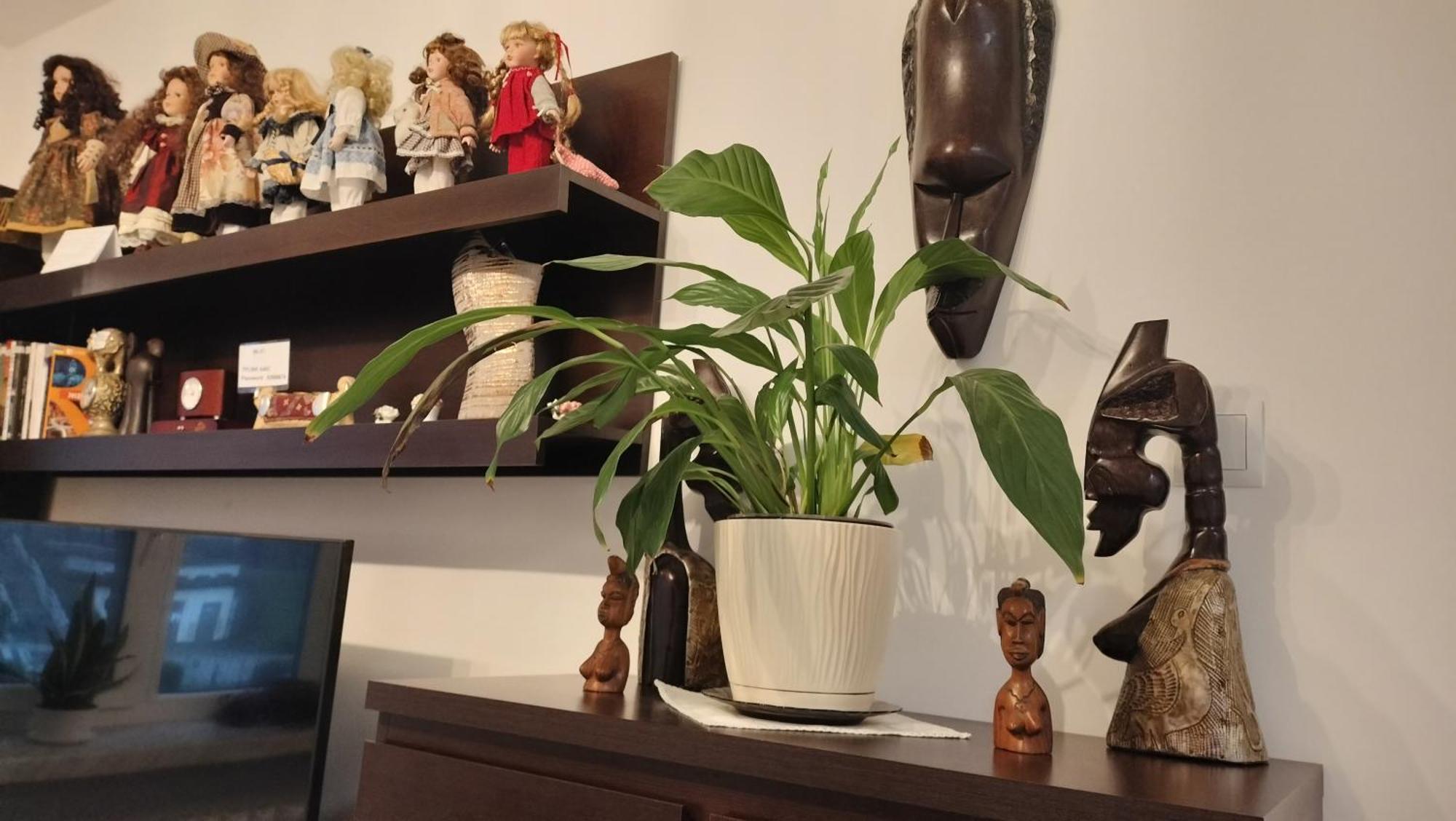 Apartament Nad Fontanna Rzeszów Szoba fotó